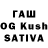Псилоцибиновые грибы GOLDEN TEACHER Raminta Rekesiute