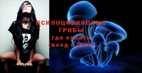 прущие крисы Богородск