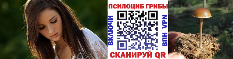 Галлюциногенные грибы ЛСД  купить наркотики цена  Михайлов 